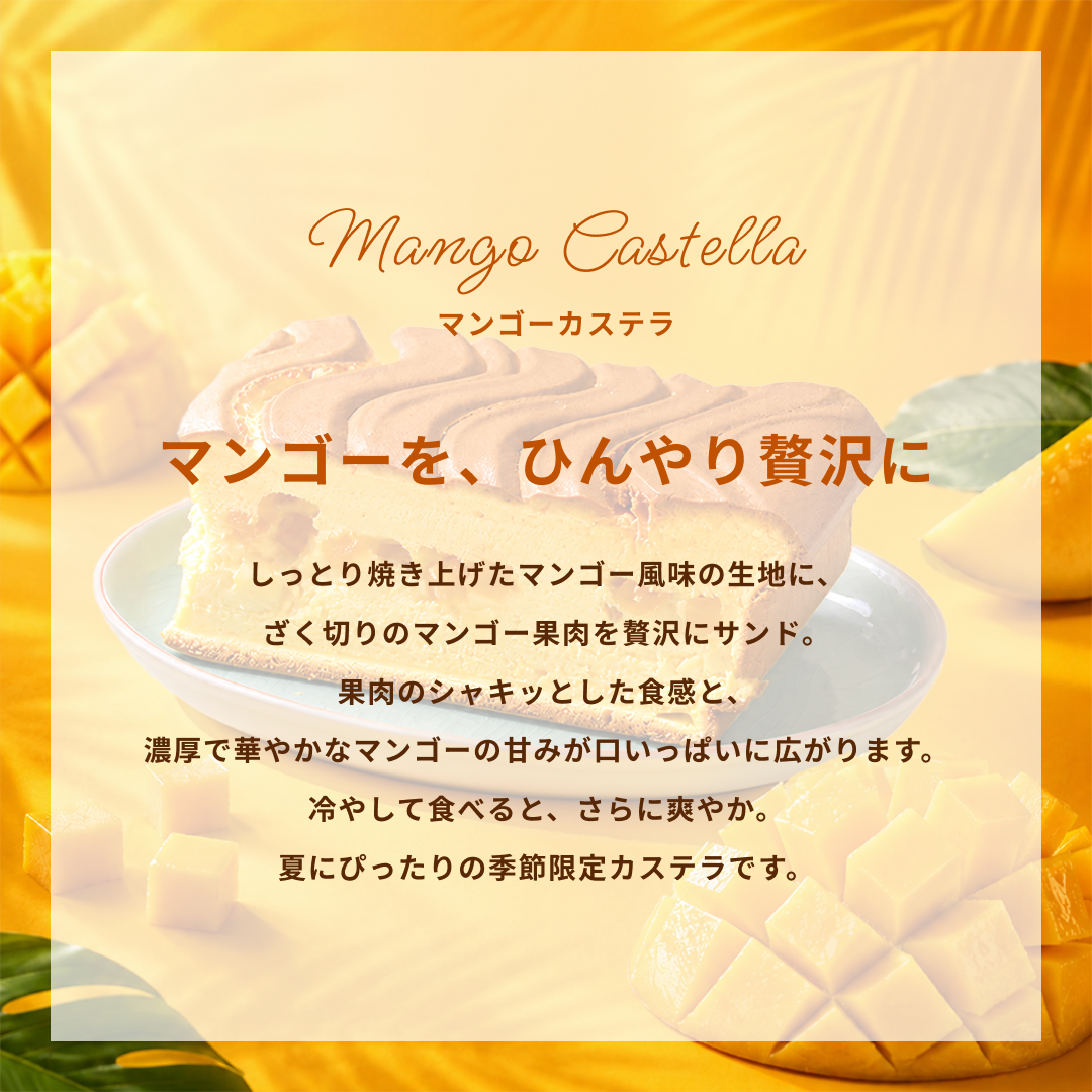 【8月限定】マンゴーカステラ