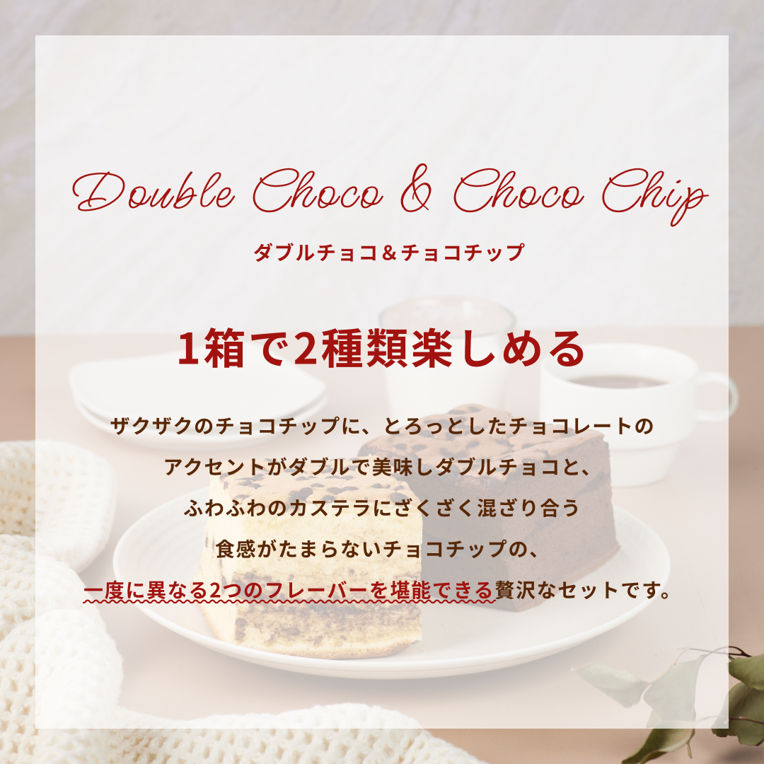 【週替り】チョコチップハーフ&ダブルチョコハーフ