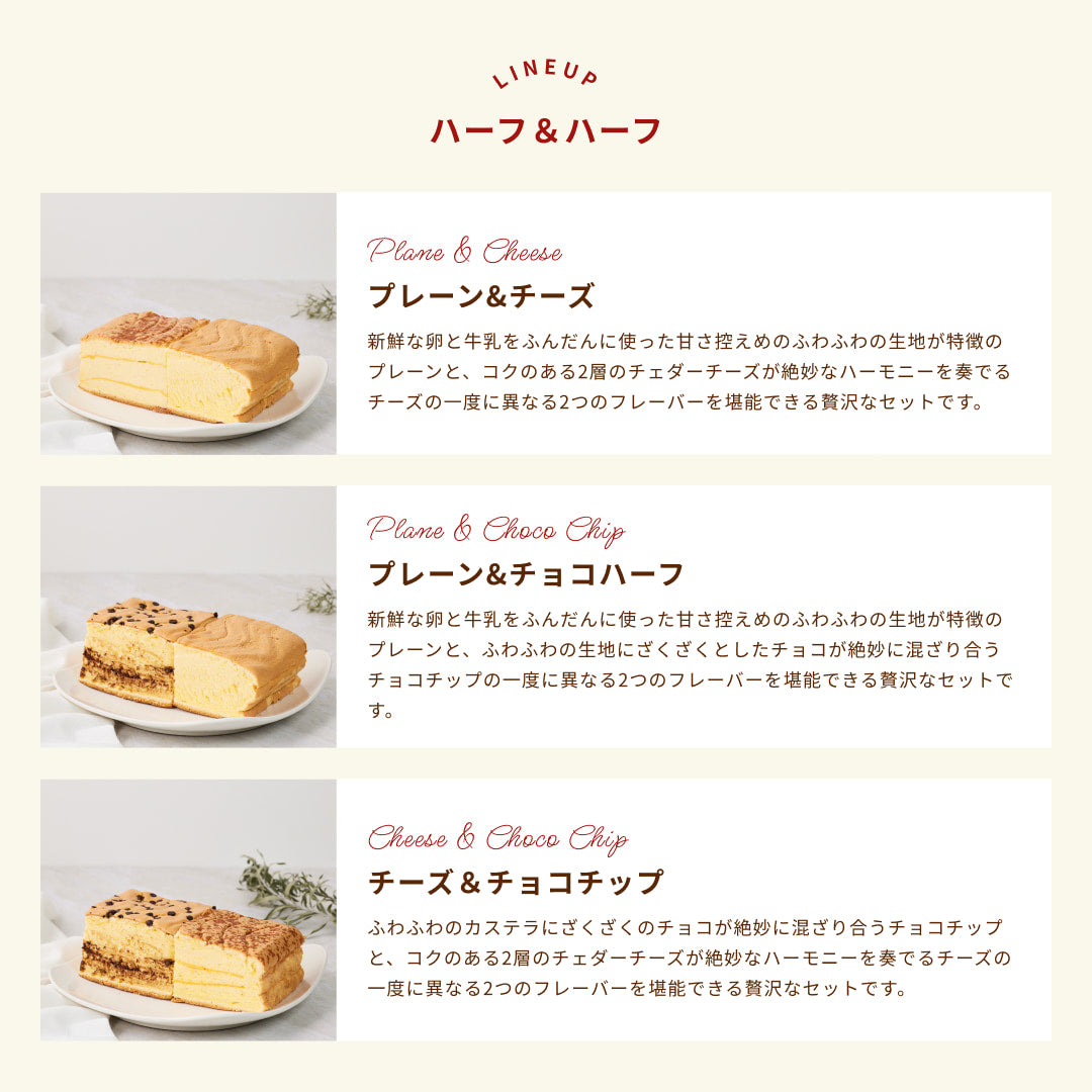 プレーンハーフ&チョコチップハーフ